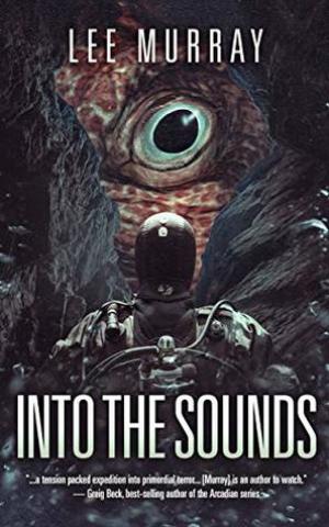 Into The Sounds